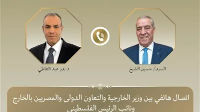 وزير الخارجية يبحث هاتفيًا مع نائب الرئيس الفلسطيني تطورات الأوضاع في الضفة الغربية وقطاع غزة