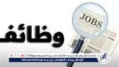 نشرة توظيف مارس 2026.. فرص عمل لأفراد أمن إداري برواتب تصل إلى 9 آلاف جنيه