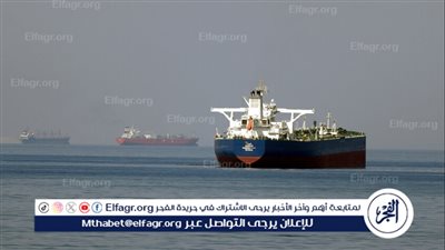 وزير خارجية باكستان: إيران سمحت لـ20 سفينة ترفع علم باكستان بالمرور عبر مضيق هرمز