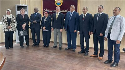 تنافس علمي محتدم لاختيار عميد «آثار أسوان».. والجامعة تحسم بالمعايير والشفافية