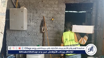توزيع ٢٠٠ كرتونه مواد غذائية للاولي بالرعاية بقري المحلة الكبري