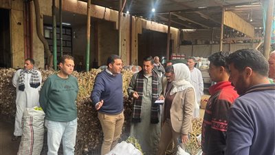 حملة مفاجئة بسوق الجملة ببنها لضبط أسعار الخضروات والتصدي لجشع التجار