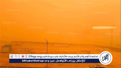 رئيس قسم الحشرات بعلوم القاهرة: النظافة الشاملة بعد العواصف 
