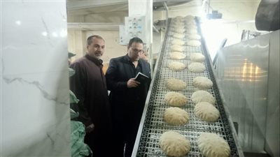 محافظ الدقهلية يكلف الحوكمة والمراجعة الداخلية ومديرية التموين بحملة تفتيش مكثفة على المخابز بمراكز المنصورة وتمي الأمديد والسنبلاوين