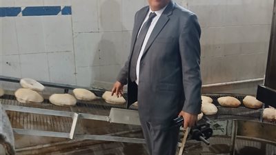 حملات التموين بالدقهلية في متابعة مستمرة على مدار يوم واحد وتحرر 205 مخالفات