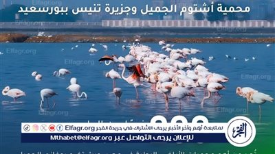 محمية أشتوم الجميل وجزيرة تنيس… تنوع بيئي وتاريخي فريد