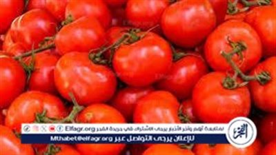 أسعار الخضروات والفاكهة في دمياط اليوم والقائمة الكاملة للأسعار 2026