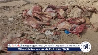 كارثة العثور على حيوانات مسلوخة بالعبور| ذبح عشوائي أم تجارة غير مشروعة؟ 