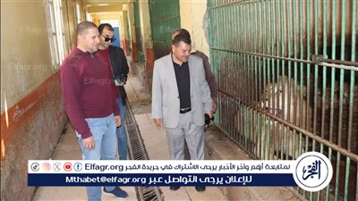 في شم النسيم.. سكرتير عام بني سويف يتفقد الحدائق والمتنزهات
