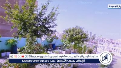 هل تساهم زراعة أسطح المنازل في تحقيق الاكتفاء الذاتي للأسر المصرية؟