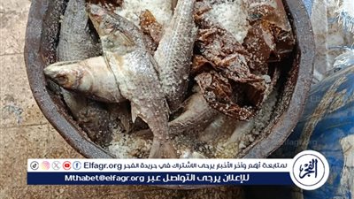 نائب محافظ المنيا يقود حملات مكثفة لحماية المستهلك.. ضبط 187 مخالفة تموينية خلال 3 أيام