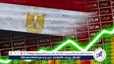 هل هناك من يهاجم اقتصاد مصر؟.. قراءة في واقع الضغوط المعلوماتية وجهود الإصلاح الوطني 