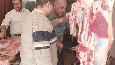 القليوبية تشن حملات رقابية مكثفة وتضبط لحومًا غير صالحة للاستهلاك الآدمي ببنها