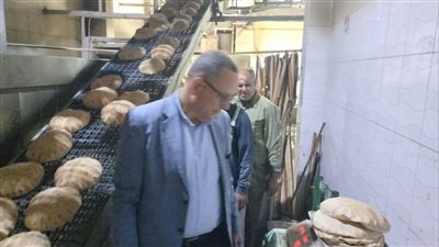 ضبط مخللات فاسدة والتلاعب في أسطوانات الغاز.. حصيلة حملات مكثفة بالدقهلية خلال 24 ساعة