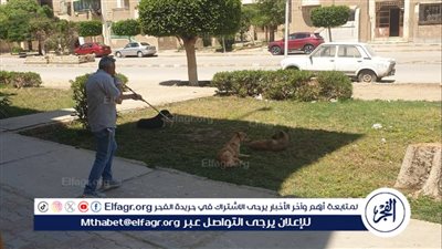 تحصين 33 من كلاب الشوارع للوقاية من السُعار بمدينة بني سويف الجديدة