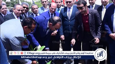 راشد والنعماني..يشاركون في زراعة أشجار الزيتون رمز السلام احتفالًا بعيد تحرير سيناء