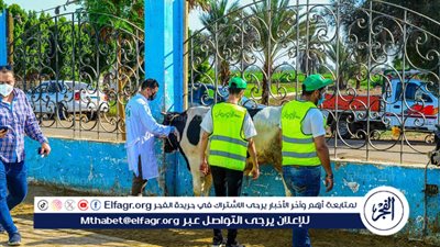 آلاف الأضاحي للأسر الأولى بالرعاية في الغربية ضمن خطة «صك الأضحية»