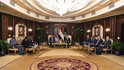 تعزيز التعاون الأمني بين مصر ومالي خلال لقاء وزيري الداخلية