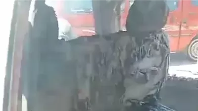 تفحم ميكروباص في حريق أسفل كوبري العوايد بالإسكندرية