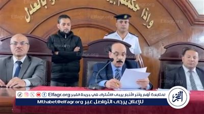 الحكم بإعدام شخصين قتلا جارهم لرفضه العمل معهم في البحيرة (فيديو)