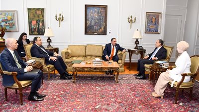 وزير الخارجية يلتقي رئيس لجنة الشئون العربية بمجلس النواب