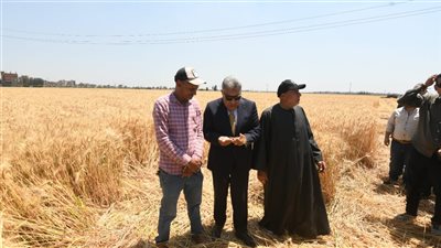 محافظ الدقهلية يطلق موسم حصاد القمح 2026 من قرية برج النور الحمص بأجا