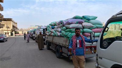تموين القليوبية: توريد 13.6 ألف طن قمح وانتظام أعمال الاستلام بالمواقع التخزينية