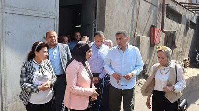 القليوبية تتحرك لتقنين أوضاع العكرشة.. محافظ يوجه بدعم المستثمرين وتحويلها لمركز صناعي منظم