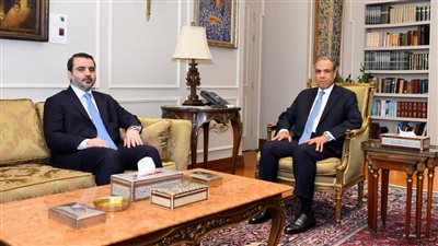 وزير الخارجية يعقد مباحثات موسعة مع نظيره السوري لبحث العلاقات الثنائية ويؤكد على دعم مصر لسيادة سوريا