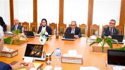 وزير الخارجية يستقبل رئيس بنك التنمية الأفريقي 