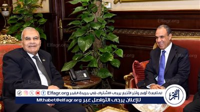 وزير الخارجية يلتقي رئيس مجلس الشيوخ.. تفاصيل