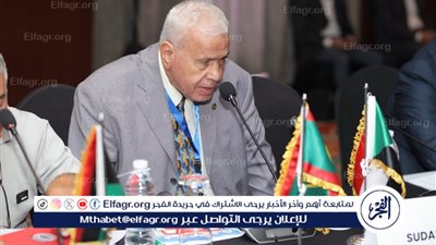 رئيس جمعية الرفق بالحيوان: تعداد الكلاب في مصر تجاوز الخط الأخضر منذ سنوات