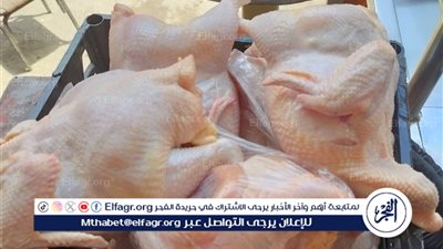 ضبط 3500 لتر زيوت سيارات مجهولة و194 كجم لحوم ودواجن غير صالحة بالغربية