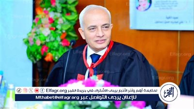 رضا حجازي: الذكاء الاصطناعي ركيزة أساسية لتطوير التعليم الرقمي بالجامعات المصرية