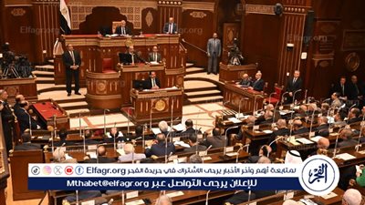 مجلس الشيوخ يحيل تقارير لجنة الاقتراحات والشكاوى إلى الحكومة لتنفيذ توصياتها.. تفاصيل