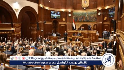عضو مجلس الشيوخ تستعرض طلب المناقشة العامة بشأن تطوير المطارات المصرية
