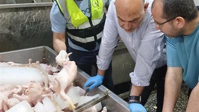 ضبط 3 أطنان دواجن غير صالحة للاستهلاك الآدمي خلال حملات بيطرية مكثفة بالقليوبية استعدادًا لعيد الأضحى