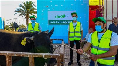 الأورمان تستعد لأكبر حملة أضاحى بأسوان خلال أيام التشريق
