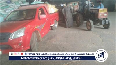 محافظ الدقهلية: توريد 245 ألف طن قمح لمواقع التخزين والصوامع على مستوى المحافظة