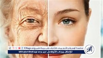 دراسة: فاكهة صيفية شائعة قد تحمي البشرة وتؤخر علامات الشيخوخة