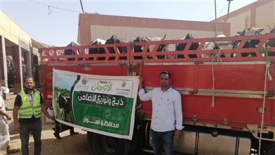 50 عجلًا بلديًا لإدخال الفرحة على الأسر الأولى بالرعاية بأسوان