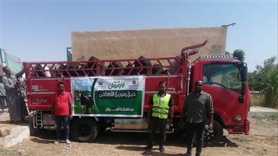 انطلاق أكبر حملة أضاحي بأسوان.. نحر 50 عجلًا بلديًا غدًا لإسعاد الأسر الأولى بالرعاية
