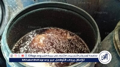 ضبط 34 طن مخللات غير صالحة للإستهلاك الآدمي وإعدامها بسمالوط