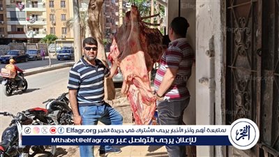 ضبط لحوم غير صالحة للإستهلاك في حملات للطب البيطري ببني سويف