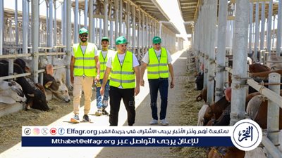 تحت رعاية مديرية التضامن الإجتماعي....غدًا البدء فى نحر الأضاحى عقب صلاة العيد بالمنيا