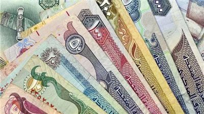 استقرار أسعار العملات الأجنبية أمام الجنيه المصري اليوم الإثنين 1 يونيو 2026